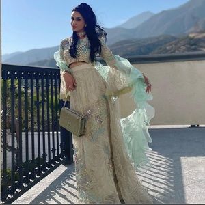 3 piece Indian Pakistani dress